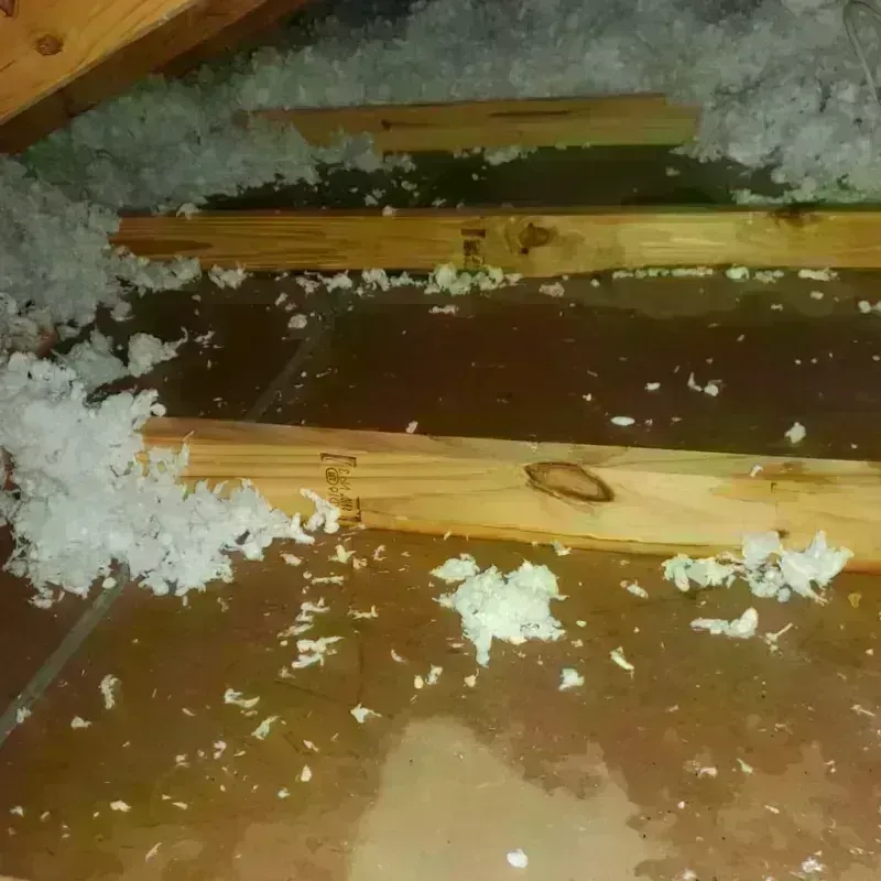 Attic Water Damage in South Lancaster, MA